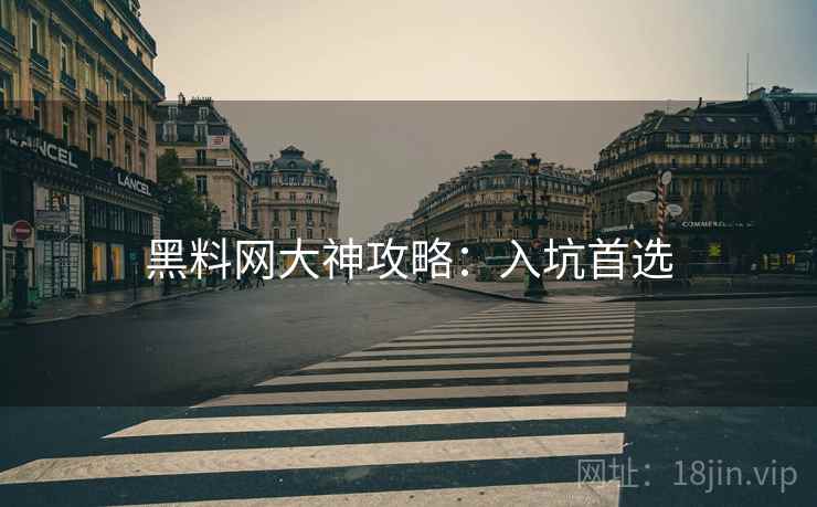 黑料网大神攻略：入坑首选