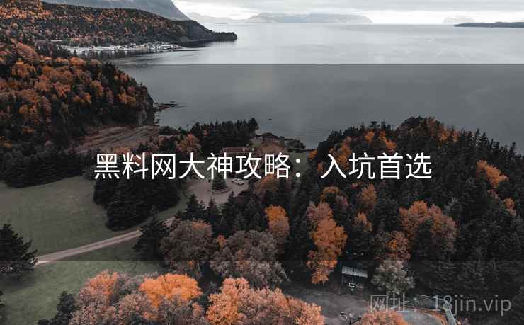 黑料网大神攻略：入坑首选