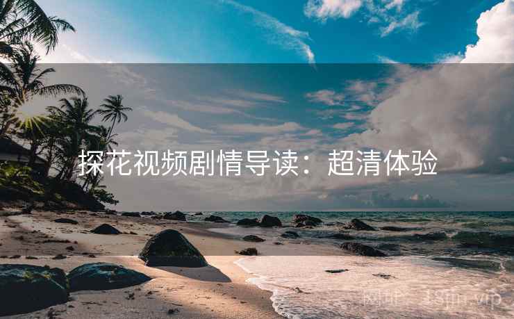 探花视频剧情导读：超清体验
