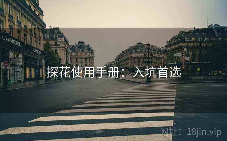 探花使用手册：入坑首选