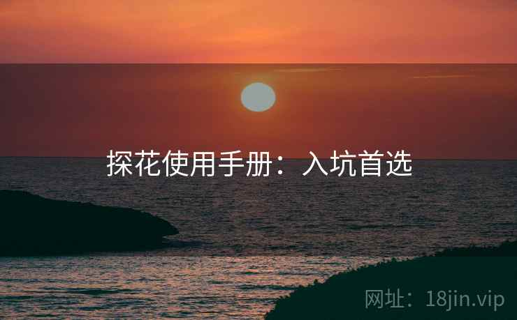 探花使用手册：入坑首选
