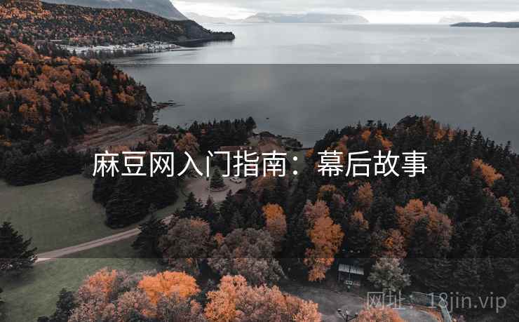 麻豆网入门指南：幕后故事