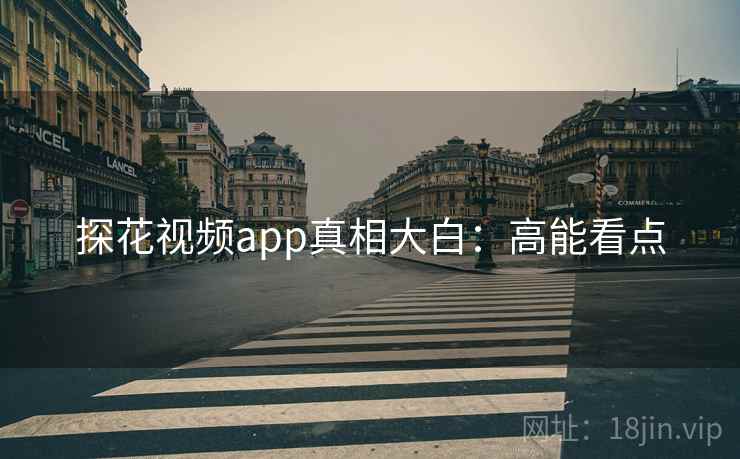 探花视频app真相大白：高能看点