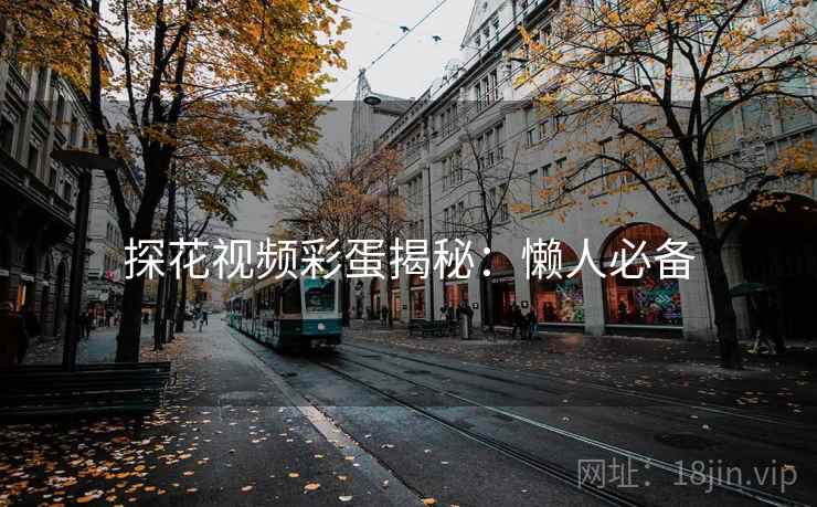 探花视频彩蛋揭秘：懒人必备