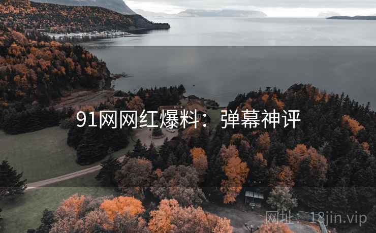91网网红爆料:弹幕神评 91网网红爆料:弹幕神评