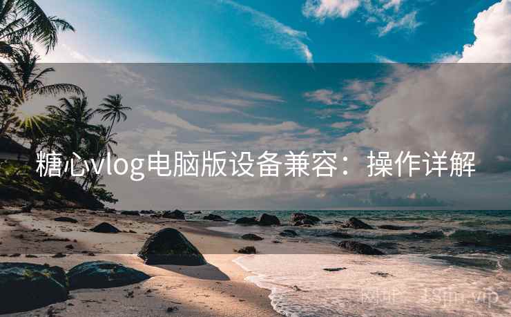 糖心vlog电脑版设备兼容：操作详解